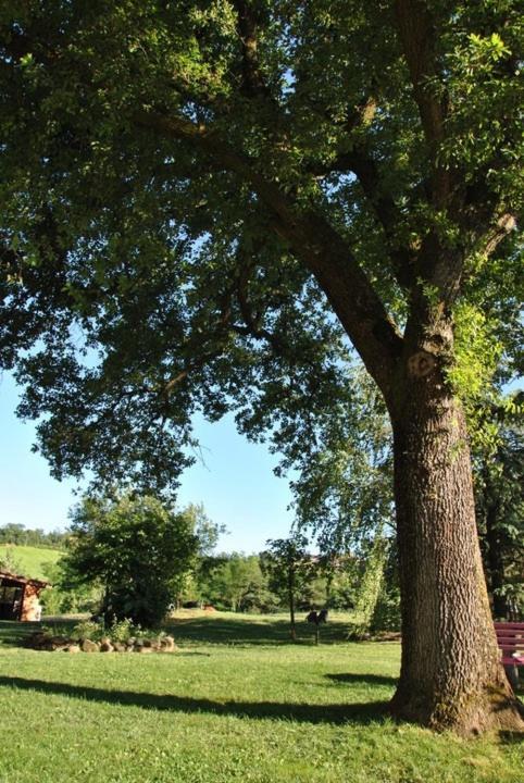 La Vecchia Quercia Restaurant *